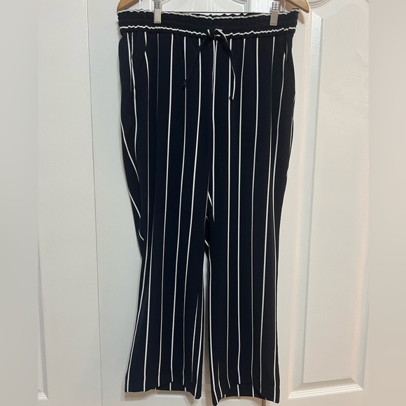 Ann Taylor Factory Pants - Ann Taylor Factory Women Striped Pant size : Medium . Made in India
